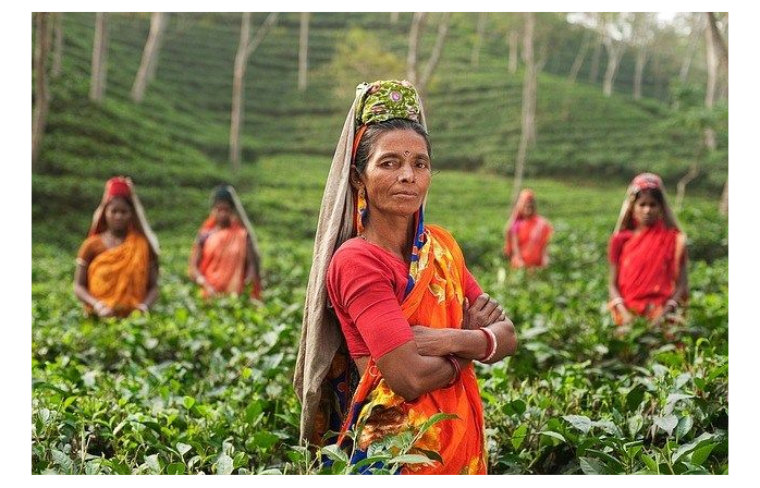Lakhpati Kisan - A story of People, Planet and Prosperity 