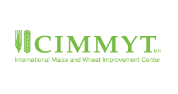 Asia Communications Manager