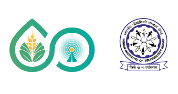 Chief Technology Officer (CTO)