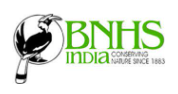 HR Executive