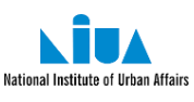 IT Solutions Developer