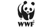 Lead –Programme Development, Advocacy & Partnerships