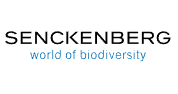 Applications Invited for Senckenberg Global Fellowship 