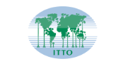 Applications Open for  ITTO Fellowship Programme 2026