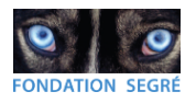 Applications Invited for Fondation Segré Conservation Action Fund Grant