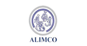 AI Accessibility Consultant