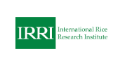 Assistant Manager - Procurement & Supply Chain Services