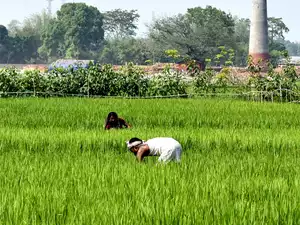 UK, India experts explore smart tech solution for Indian farmers