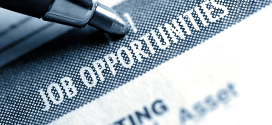 Top Job Opportunities for Development Sector to look forward to