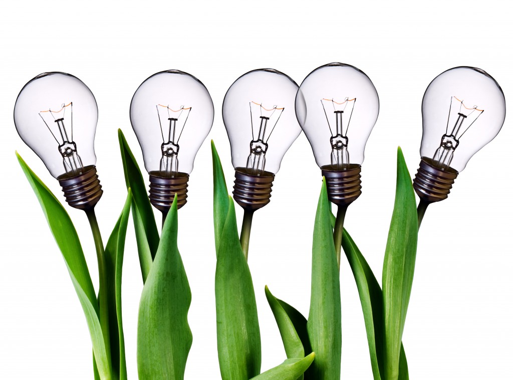 It’s time we mainstream the development sector institutions !